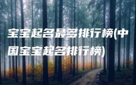 宝宝起名最多排行榜(中国宝宝起名排行榜)