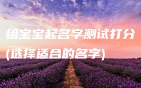 给宝宝起名字测试打分(选择适合的名字)