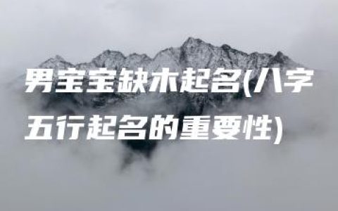 男宝宝缺木起名(八字五行起名的重要性)