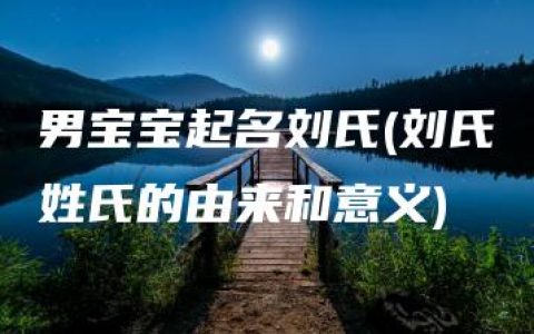 男宝宝起名刘氏(刘氏姓氏的由来和意义)