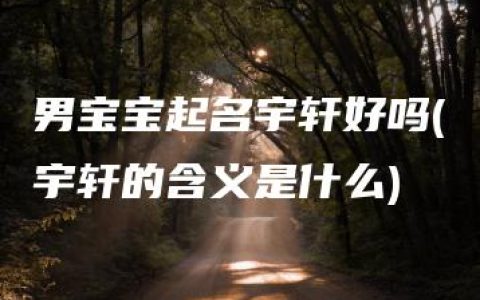 男宝宝起名宇轩好吗(宇轩的含义是什么)