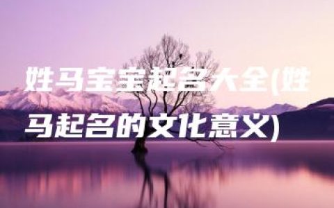 姓马宝宝起名大全(姓马起名的文化意义)