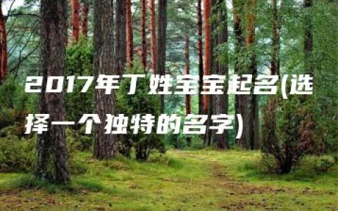 2017年丁姓宝宝起名(选择一个独特的名字)