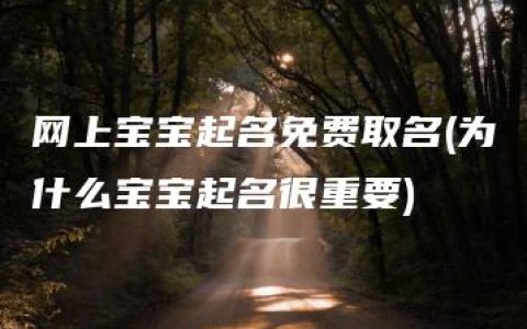 网上宝宝起名免费取名(为什么宝宝起名很重要)