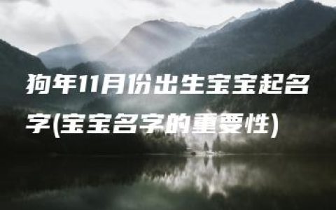 狗年11月份出生宝宝起名字(宝宝名字的重要性)