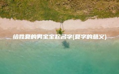 给姓夏的男宝宝起名字(夏字的意义)