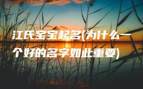 江氏宝宝起名(为什么一个好的名字如此重要)