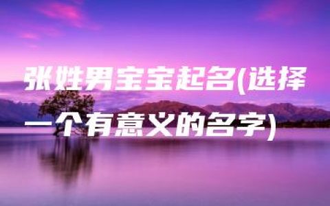 张姓男宝宝起名(选择一个有意义的名字)