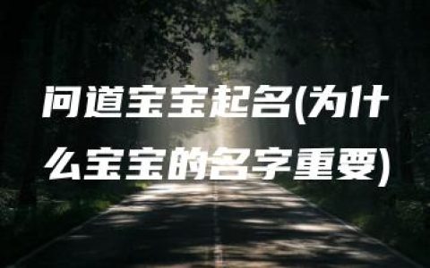 问道宝宝起名(为什么宝宝的名字重要)