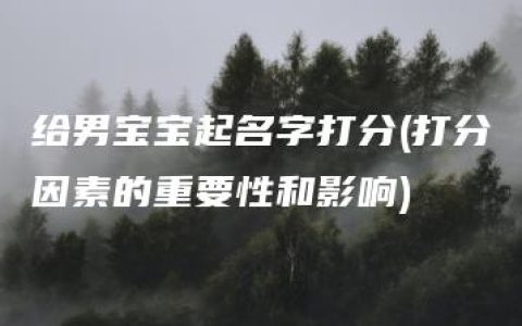 给男宝宝起名字打分(打分因素的重要性和影响)