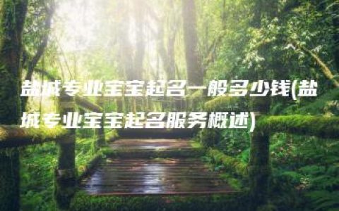 盐城专业宝宝起名一般多少钱(盐城专业宝宝起名服务概述)