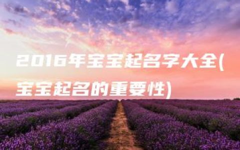 2016年宝宝起名字大全(宝宝起名的重要性)