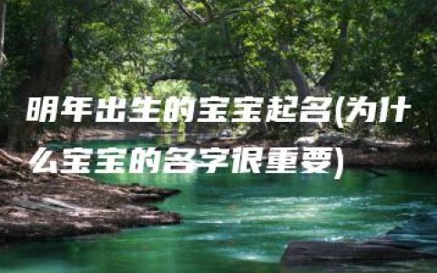 明年出生的宝宝起名(为什么宝宝的名字很重要)