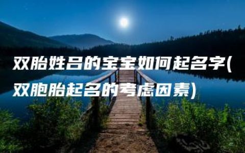 双胎姓吕的宝宝如何起名字(双胞胎起名的考虑因素)