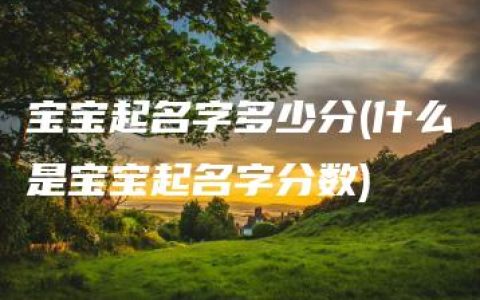 宝宝起名字多少分(什么是宝宝起名字分数)