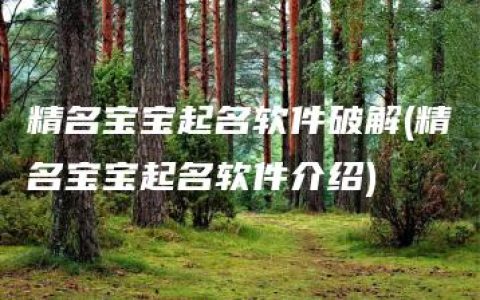 精名宝宝起名软件破解(精名宝宝起名软件介绍)