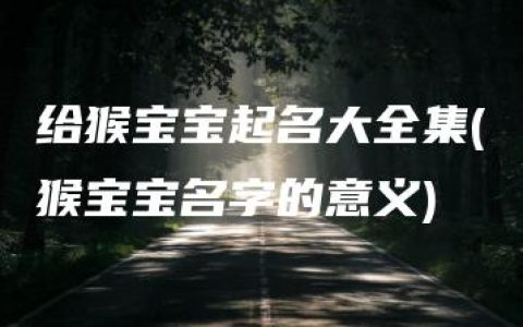 给猴宝宝起名大全集(猴宝宝名字的意义)