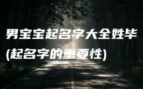 男宝宝起名字大全姓毕(起名字的重要性)