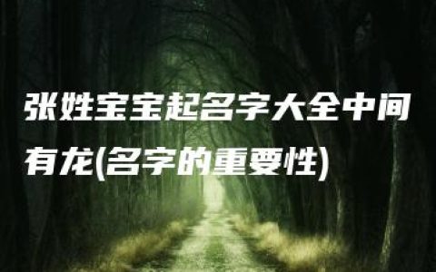 张姓宝宝起名字大全中间有龙(名字的重要性)