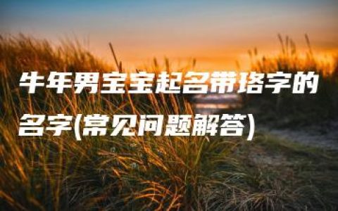 牛年男宝宝起名带珞字的名字(常见问题解答)