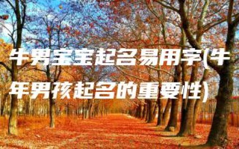 牛男宝宝起名易用字(牛年男孩起名的重要性)