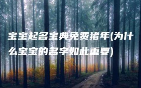 宝宝起名宝典免费猪年(为什么宝宝的名字如此重要)