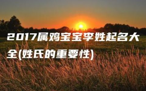 2017属鸡宝宝李姓起名大全(姓氏的重要性)