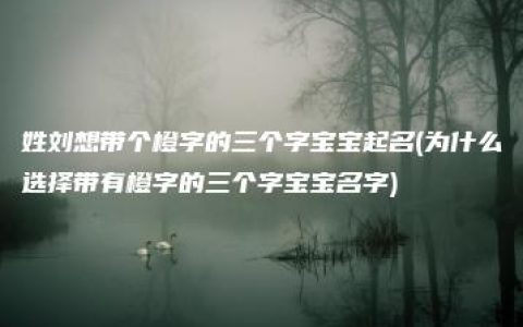 姓刘想带个橙字的三个字宝宝起名(为什么选择带有橙字的三个字宝宝名字)