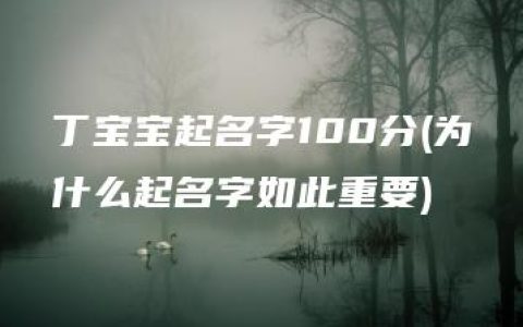 丁宝宝起名字100分(为什么起名字如此重要)