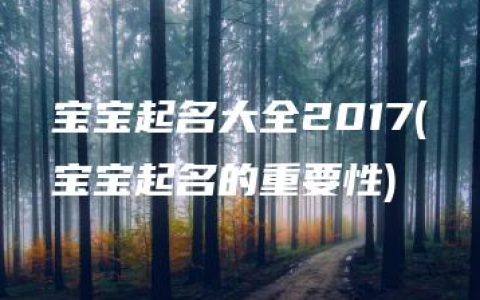 宝宝起名大全2017(宝宝起名的重要性)