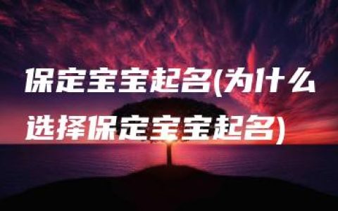 保定宝宝起名(为什么选择保定宝宝起名)