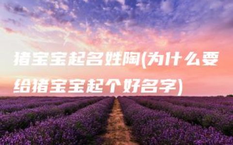 猪宝宝起名姓陶(为什么要给猪宝宝起个好名字)