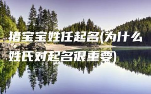 猪宝宝姓任起名(为什么姓氏对起名很重要)