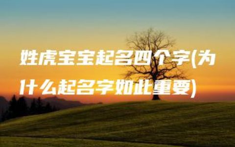 姓虎宝宝起名四个字(为什么起名字如此重要)