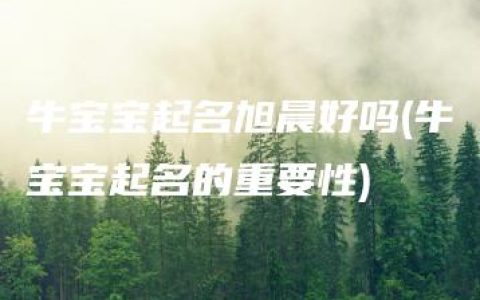 牛宝宝起名旭晨好吗(牛宝宝起名的重要性)