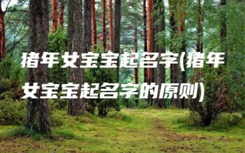 猪年女宝宝起名字(猪年女宝宝起名字的原则)