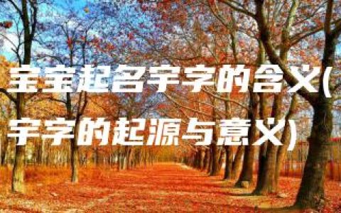 宝宝起名宇字的含义(宇字的起源与意义)