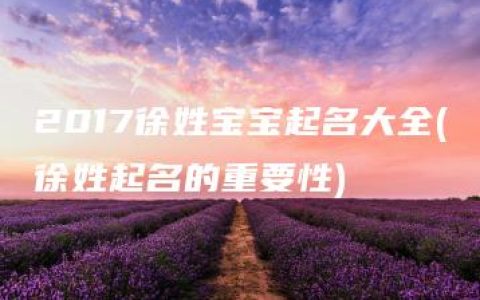 2017徐姓宝宝起名大全(徐姓起名的重要性)