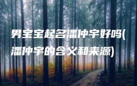 男宝宝起名潘仲宇好吗(潘仲宇的含义和来源)