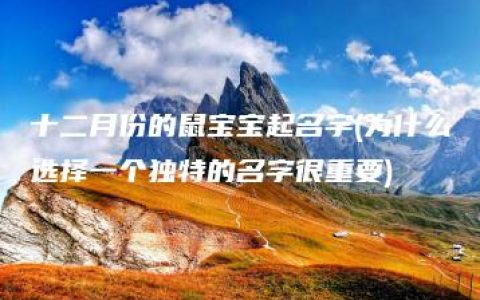 十二月份的鼠宝宝起名字(为什么选择一个独特的名字很重要)