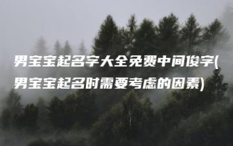 男宝宝起名字大全免费中间俊字(男宝宝起名时需要考虑的因素)