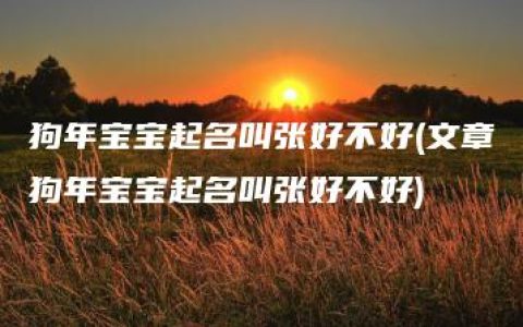 狗年宝宝起名叫张好不好(文章狗年宝宝起名叫张好不好)