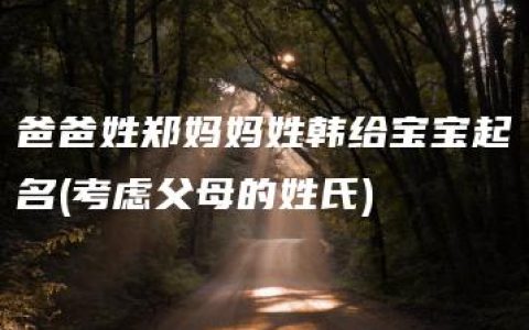 爸爸姓郑妈妈姓韩给宝宝起名(考虑父母的姓氏)