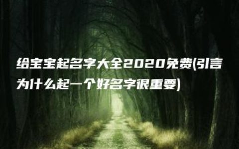 给宝宝起名字大全2020免费(引言为什么起一个好名字很重要)