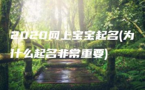 2020网上宝宝起名(为什么起名非常重要)