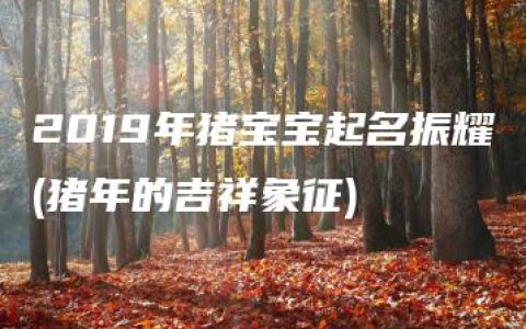 2019年猪宝宝起名振耀(猪年的吉祥象征)