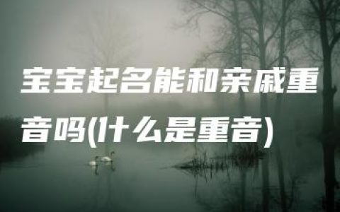 宝宝起名能和亲戚重音吗(什么是重音)