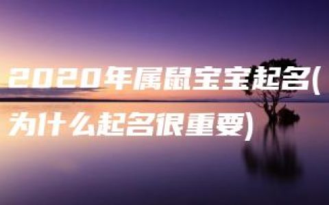 2020年属鼠宝宝起名(为什么起名很重要)