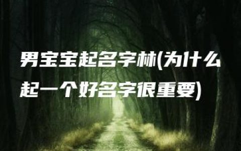 男宝宝起名字林(为什么起一个好名字很重要)