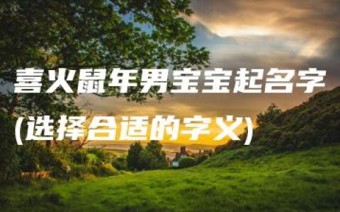 喜火鼠年男宝宝起名字(选择合适的字义)